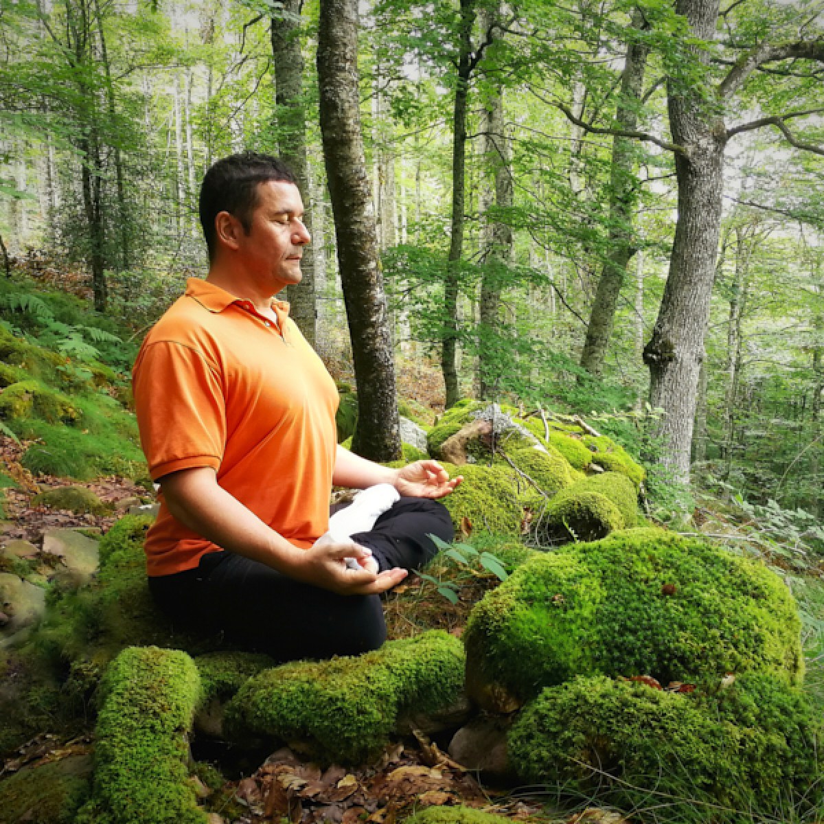 a person sitting in a garden