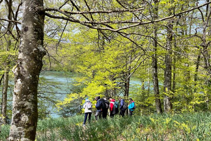 a group of people in a forest