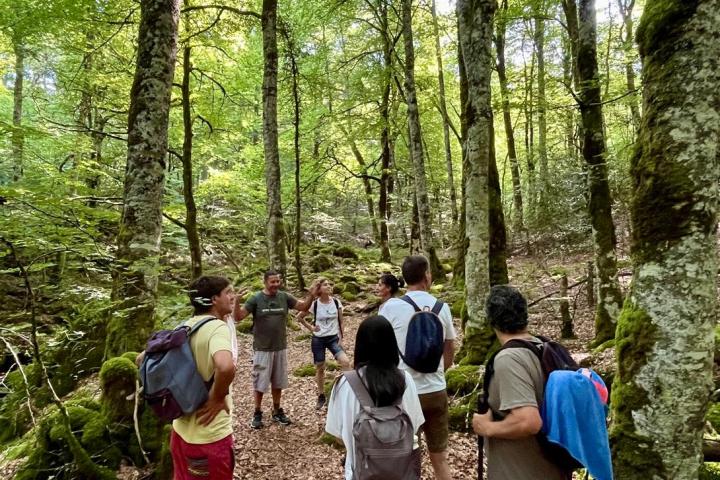 a group of people in a forest